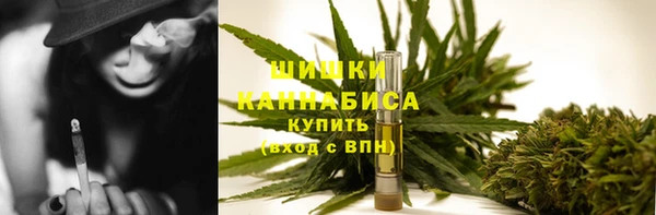 apvp Костерёво